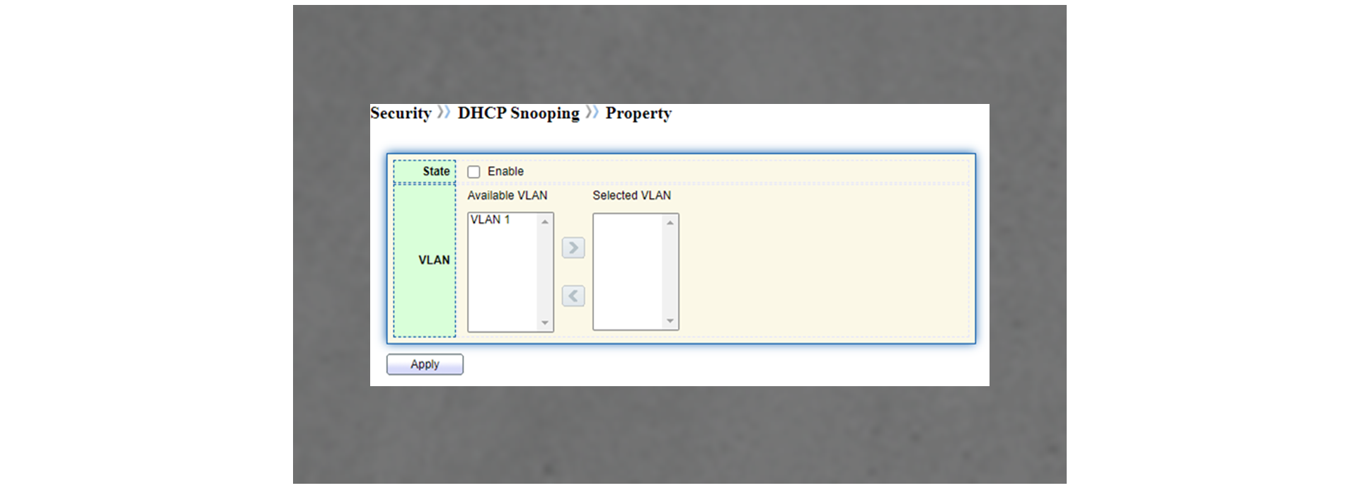 DHCP Snooping Support