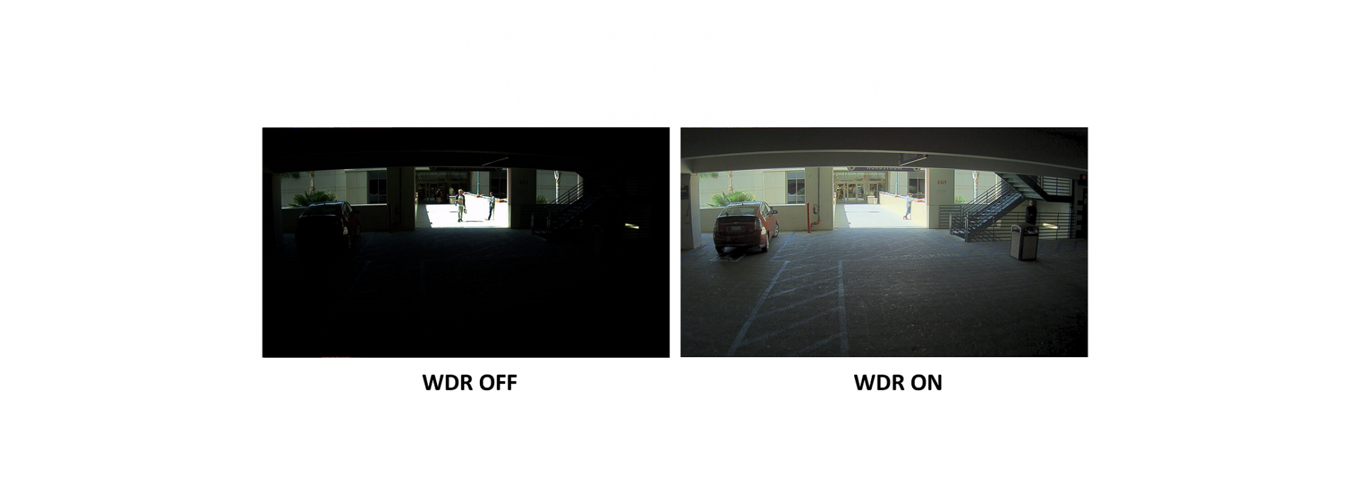 Image Enhancement: D-WDR, Mirror, Rotate, and Defogging functions