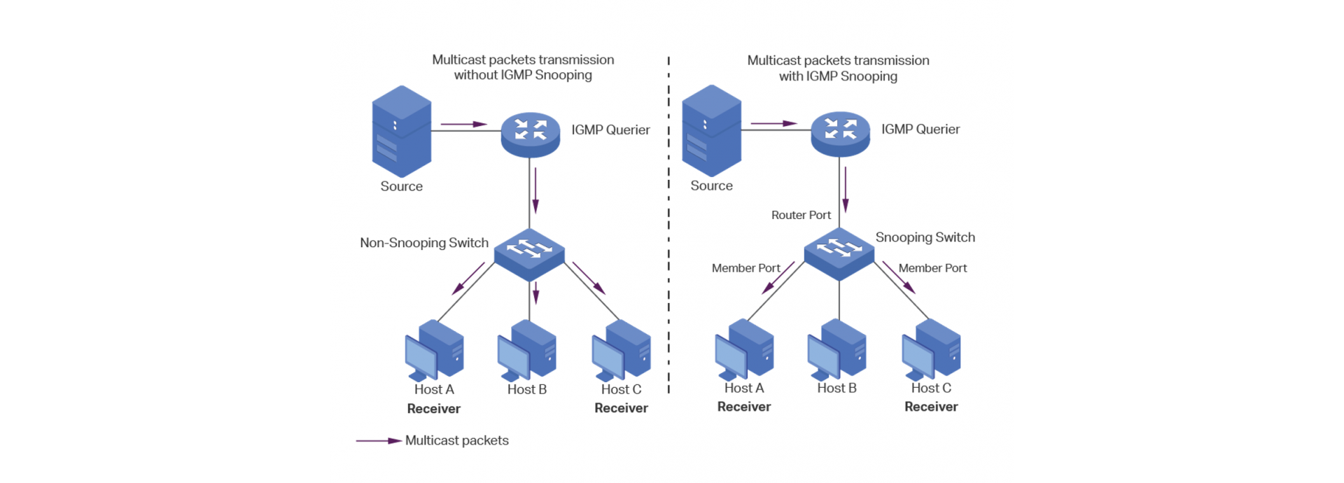 IGMP Snooping Multicast
